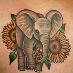 Meet your Posher, Kellie